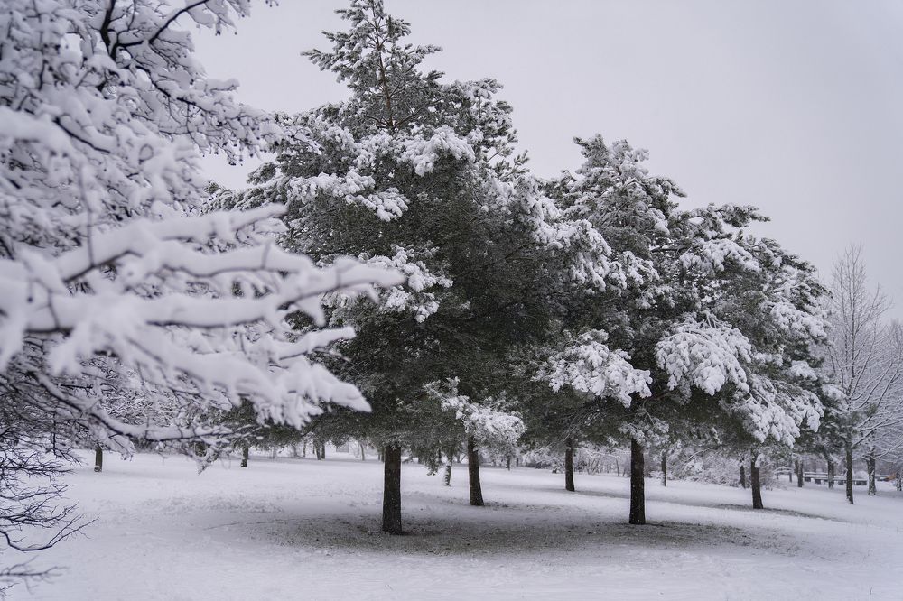 Photograph by Ксения Щербакова