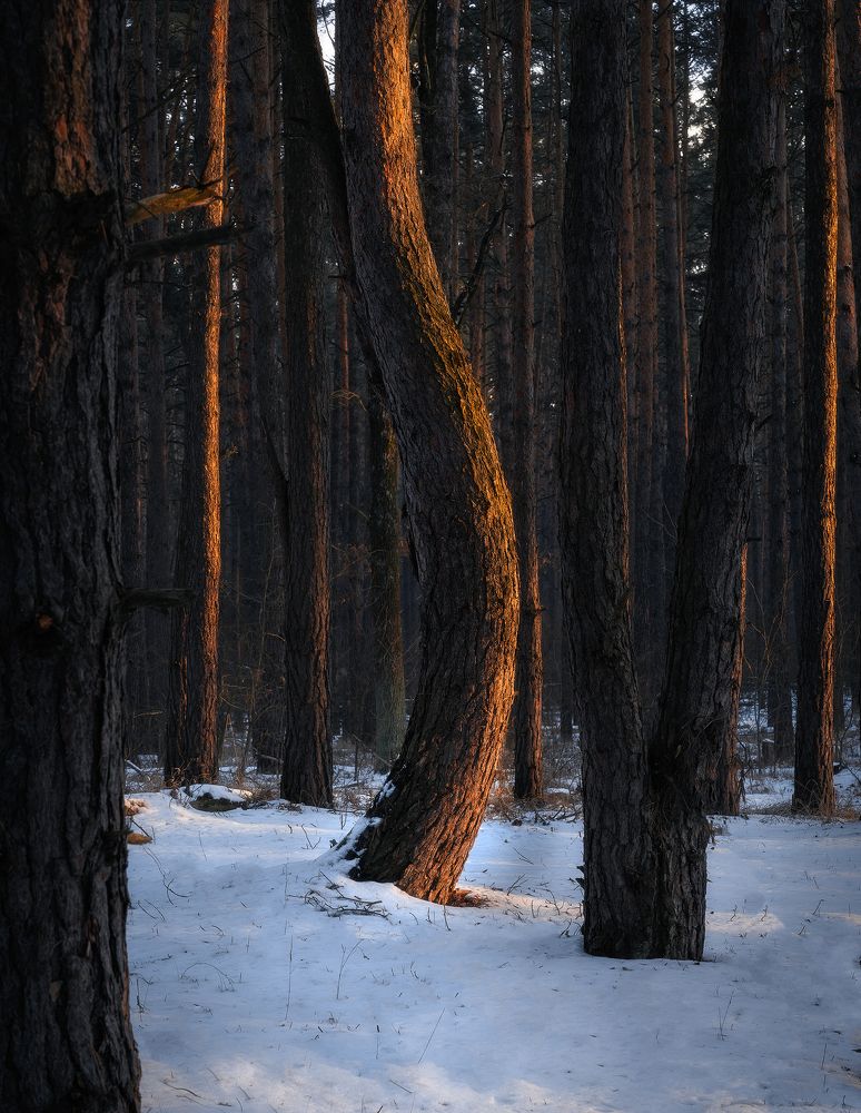 Photograph by Антон Харченко