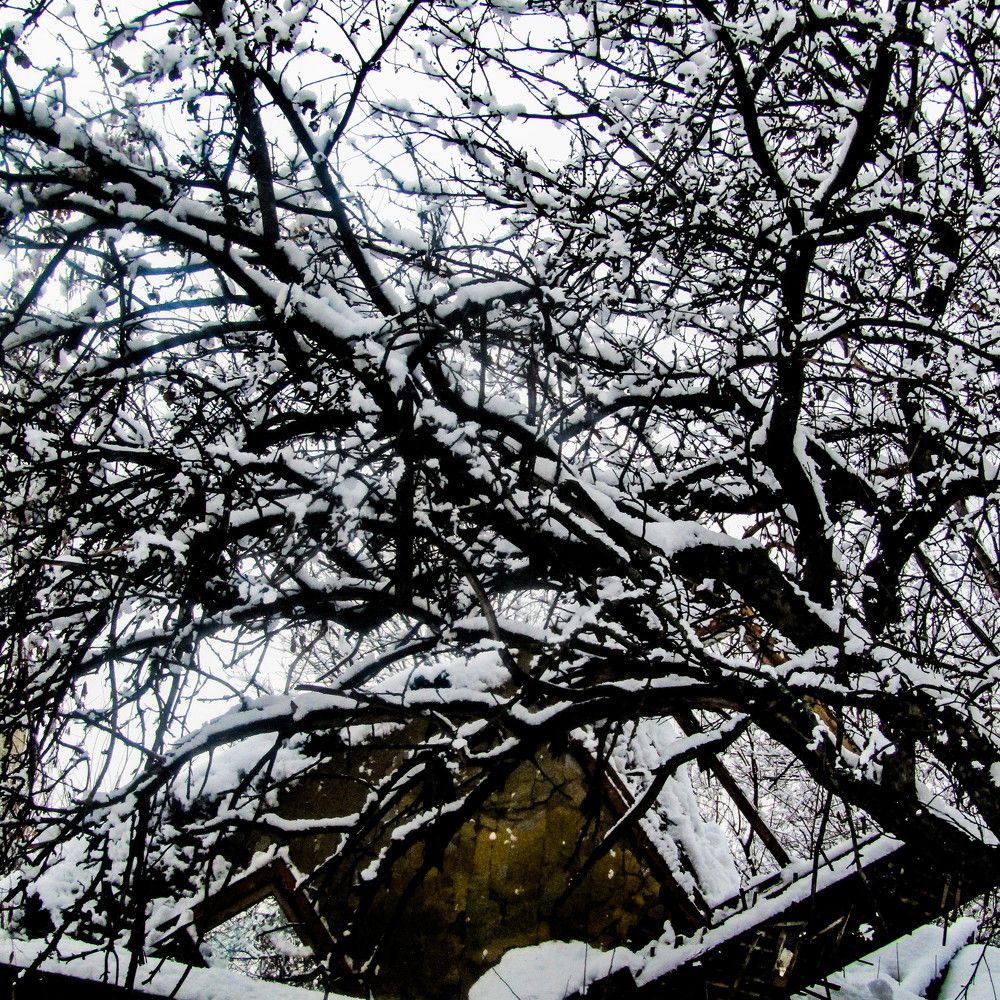 Photograph by Юрій Ніколаєв