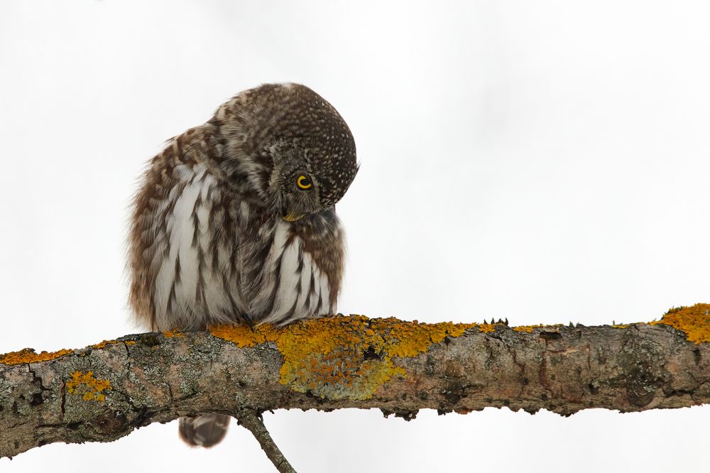 Photograph by Иван Волков