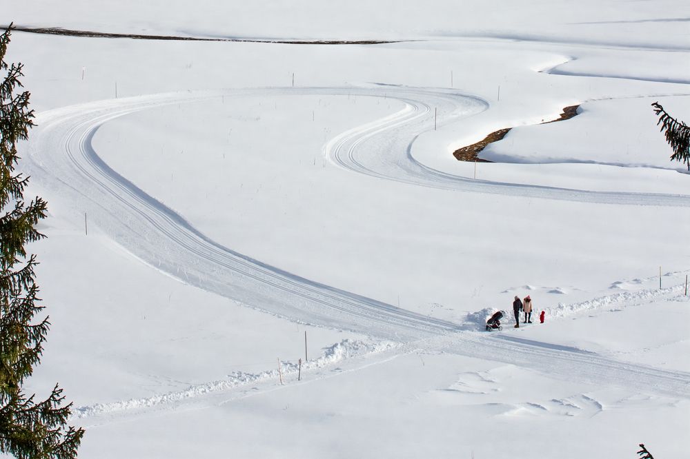 Photograph by Diana Jelisejeva