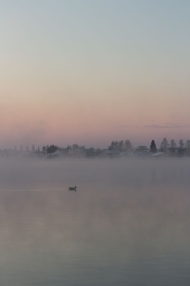 Photograph by Diana Jelisejeva