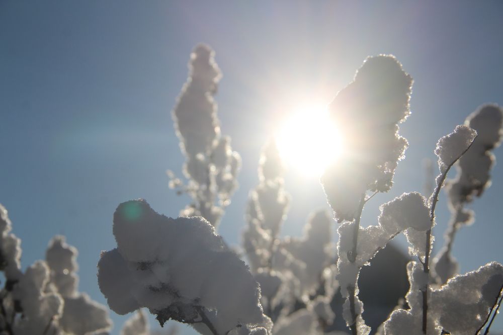 Photograph by Катерина Шарова