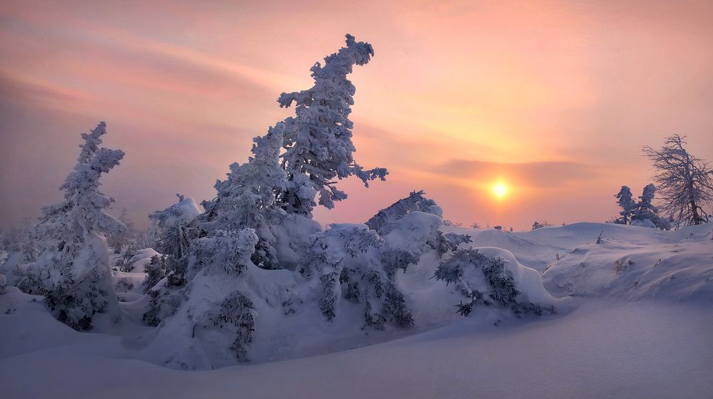 На рассвете