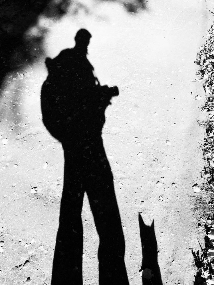 Partner/Партнер