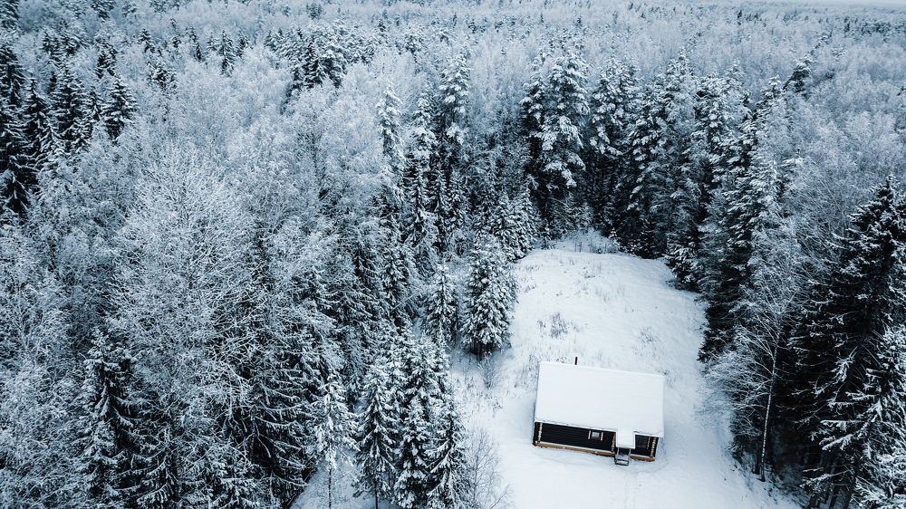 Photograph by Konstantin Morozov