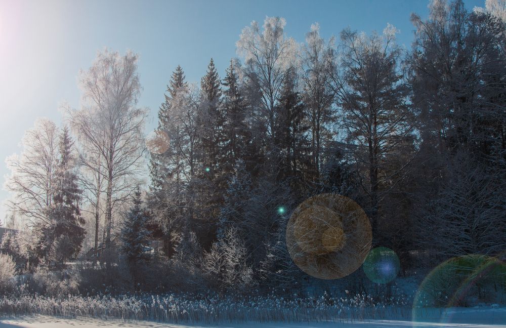 Photograph by Konstantin Morozov