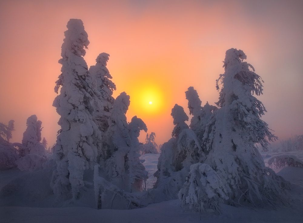 Встретить рассвет...