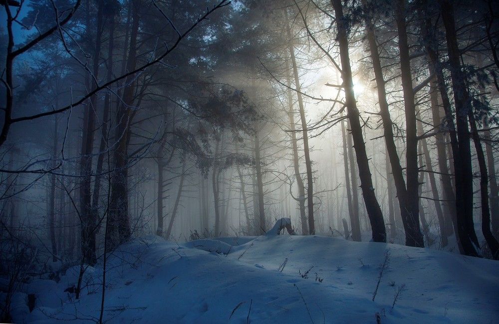 Фотография автора Дарья Мо