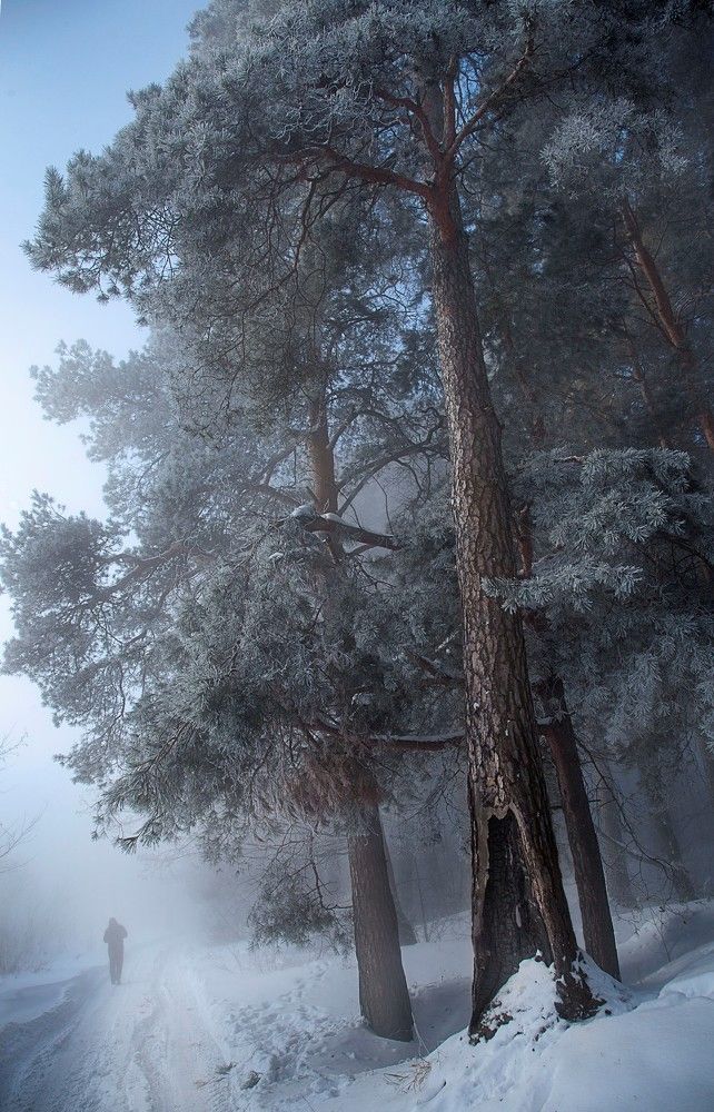 Фотография автора Дарья Мо