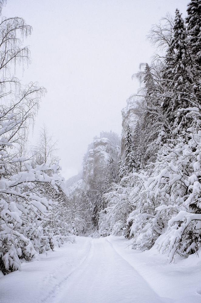 Могучий Ветлан.