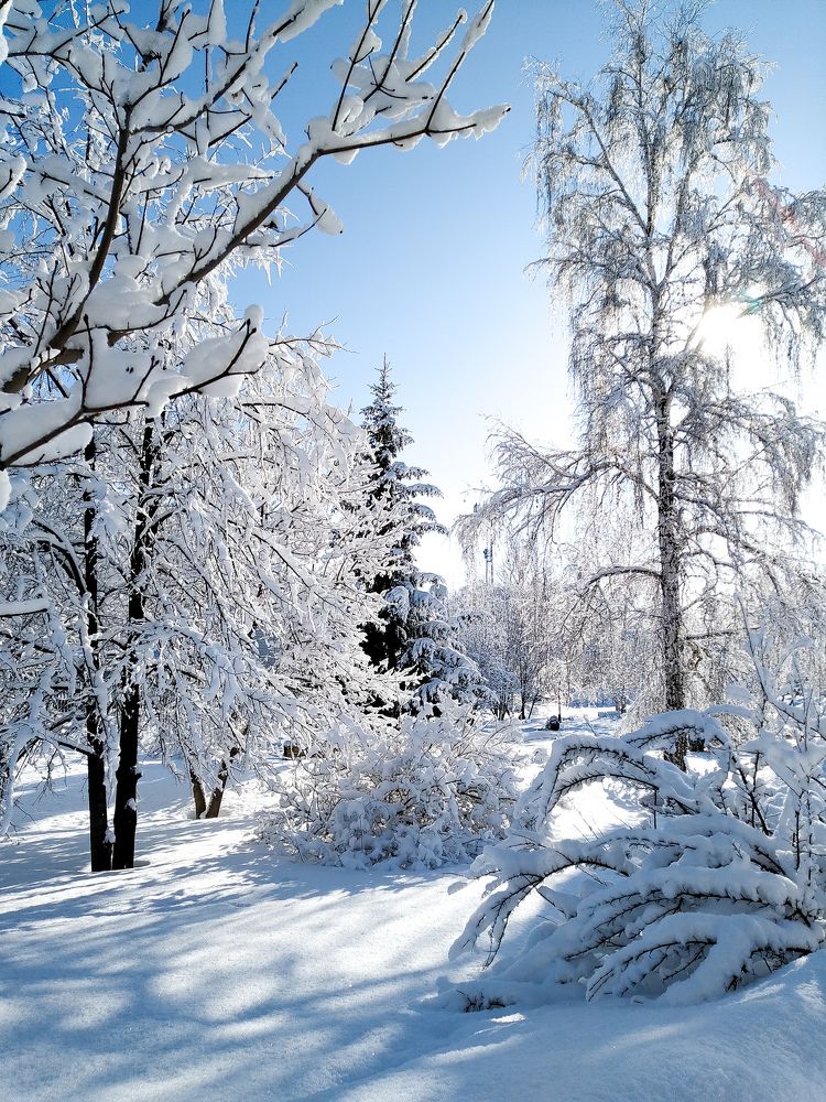 Зимнее утро