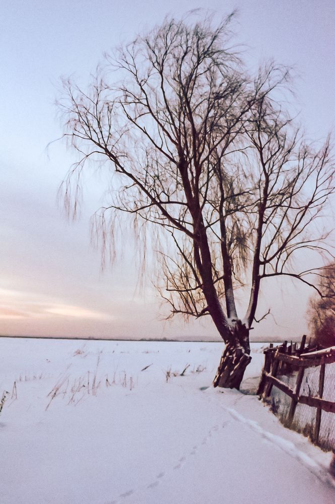Photograph by Ирина Вольф