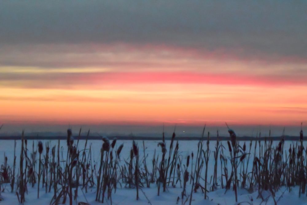 Photograph by Ирина Вольф