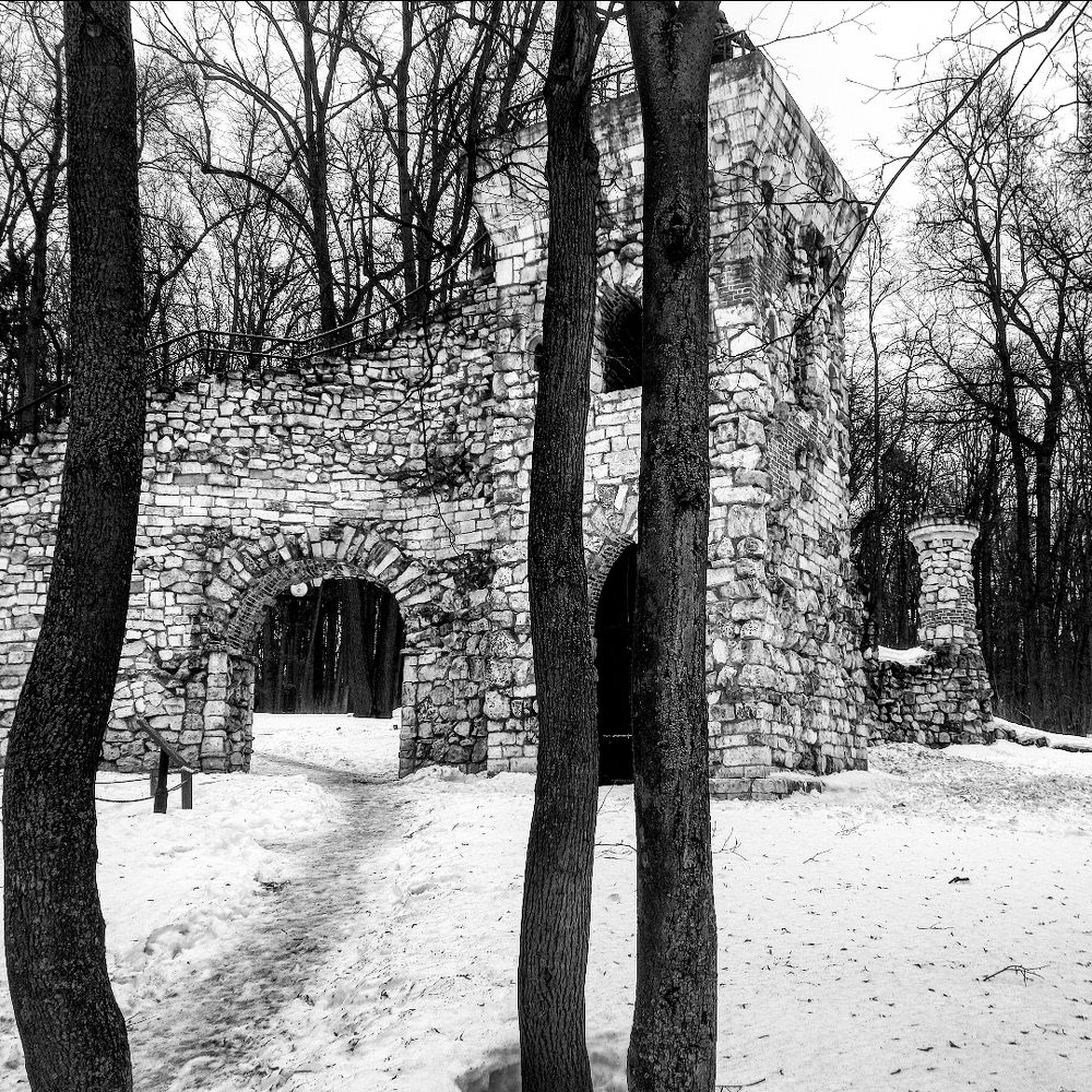 Photograph by Александр Лабутин