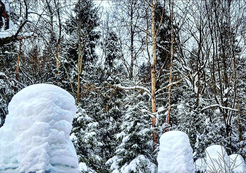 Photograph by Александр Лабутин