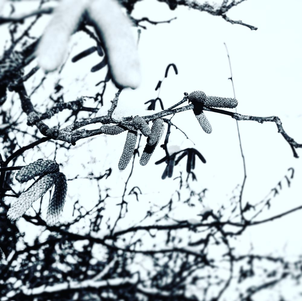 Photograph by Александр Лабутин