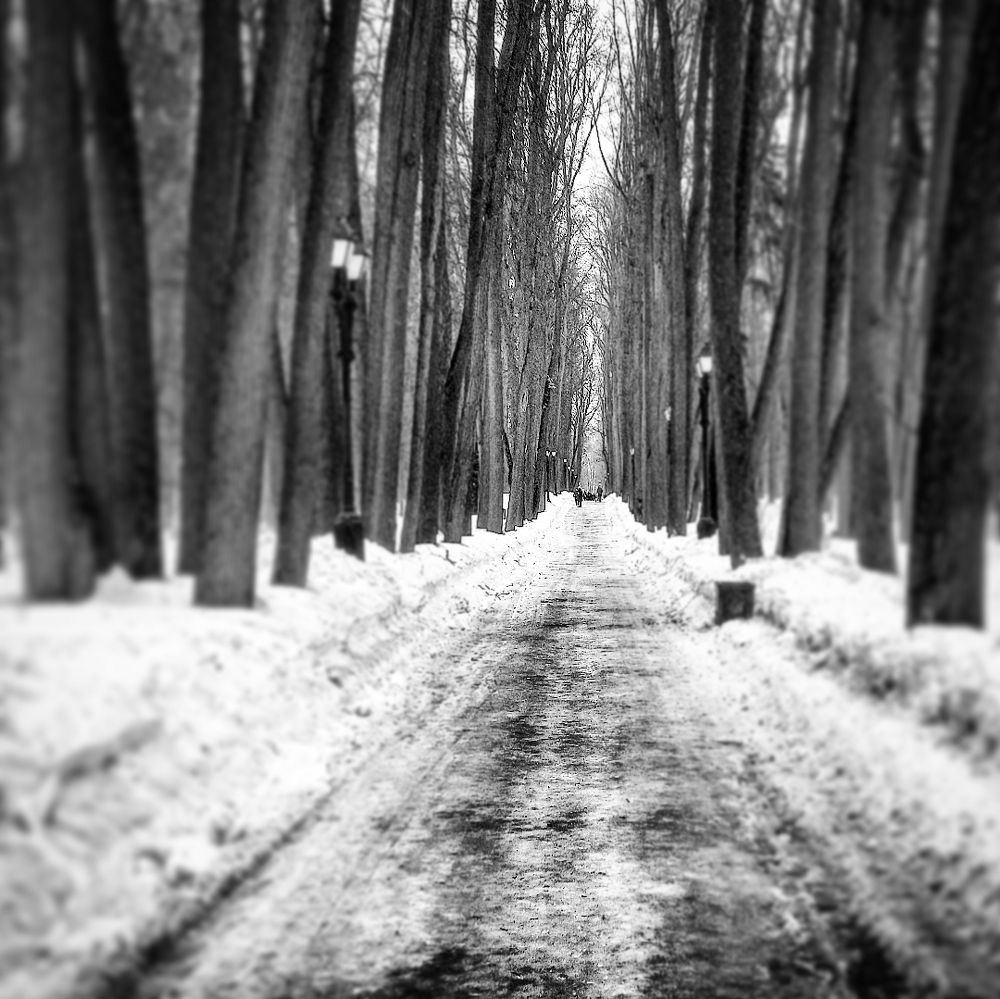 Photograph by Александр Лабутин