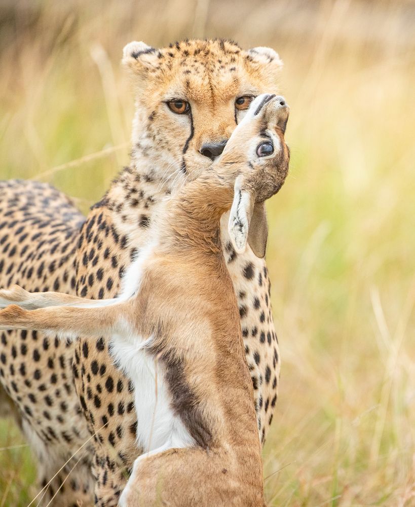 Photograph by Nagarajan P