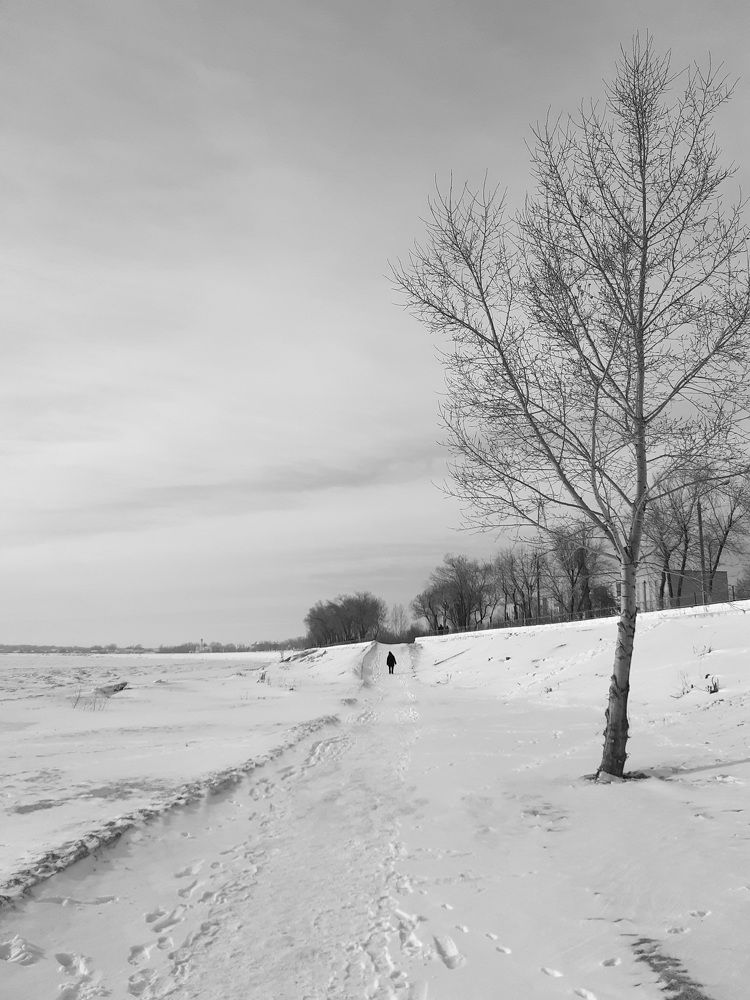 Photograph by Тогжан Таминбаева