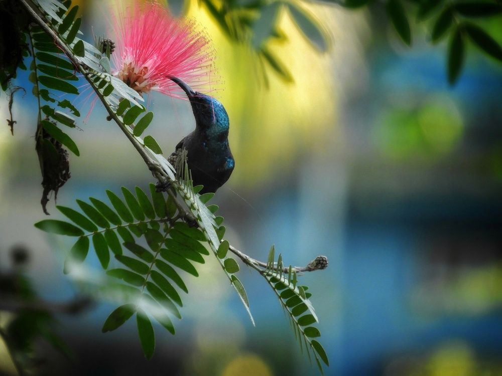 Photo #5937920