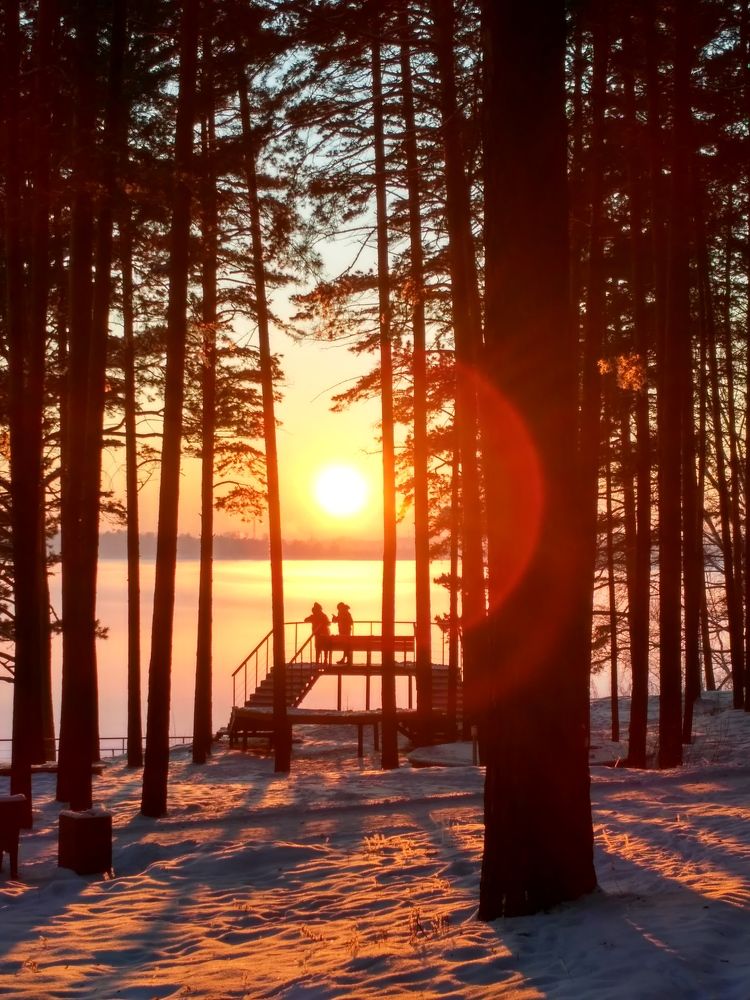 Photograph by Ксения Дудкина