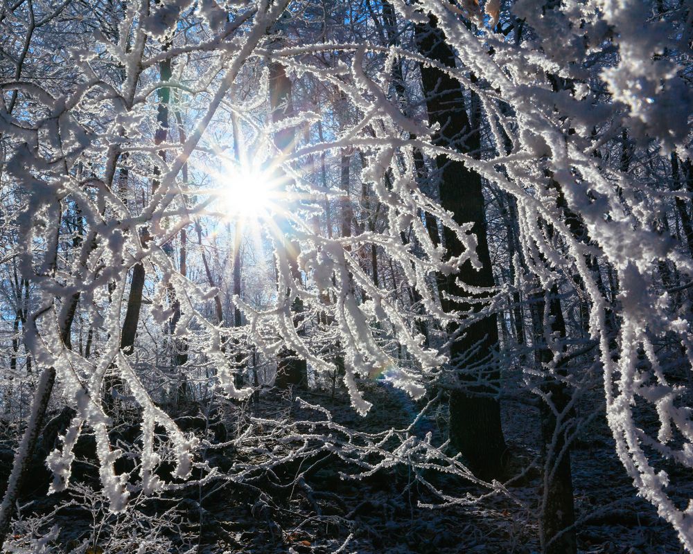 Берендеево царство