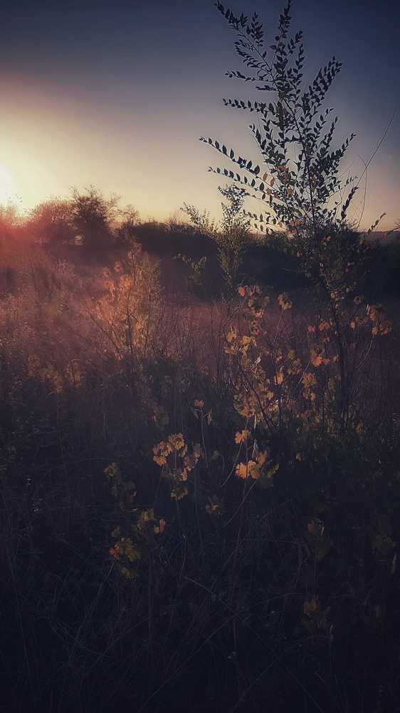 Фотография автора Светлана Груньковская