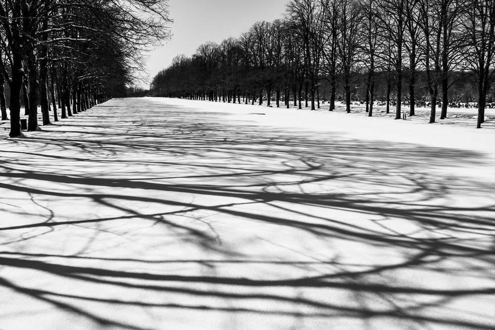 Зимняя аллея. Тени.