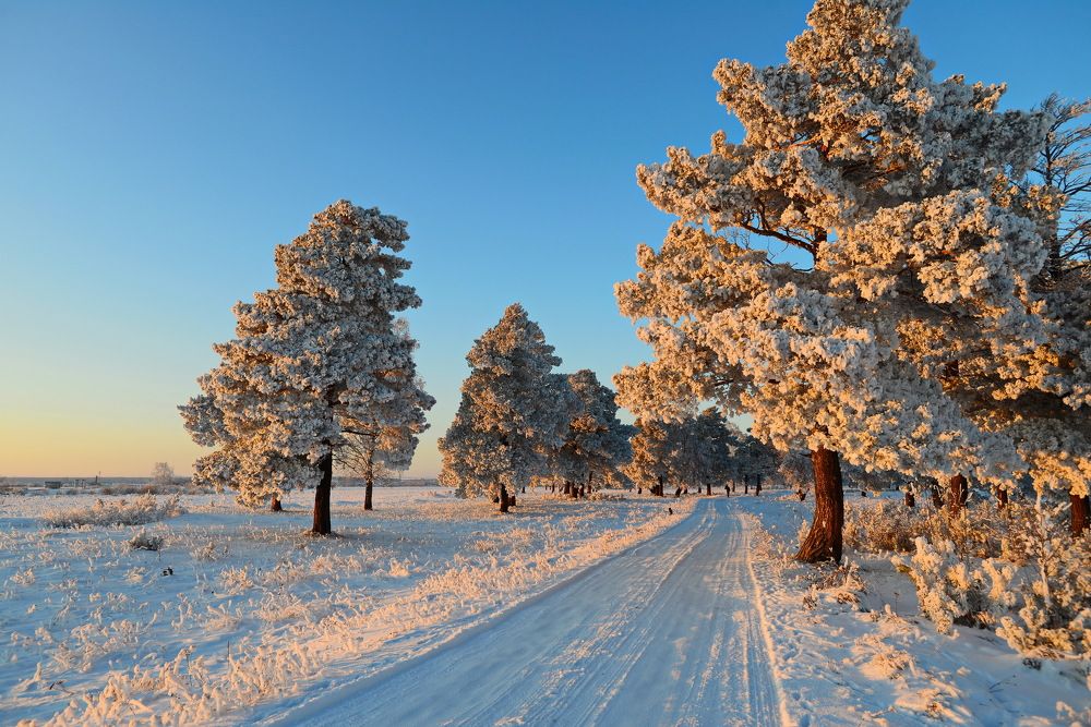 Photograph by Сергей Богородский