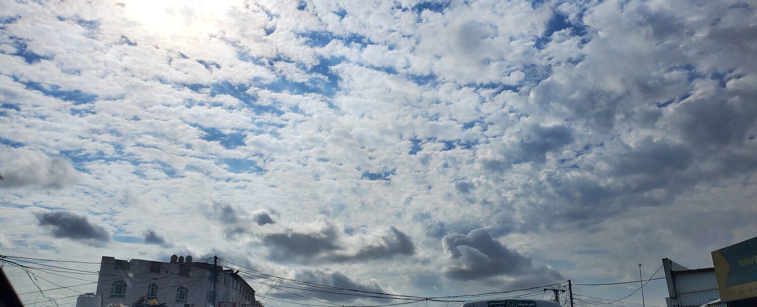 Photo #5938046