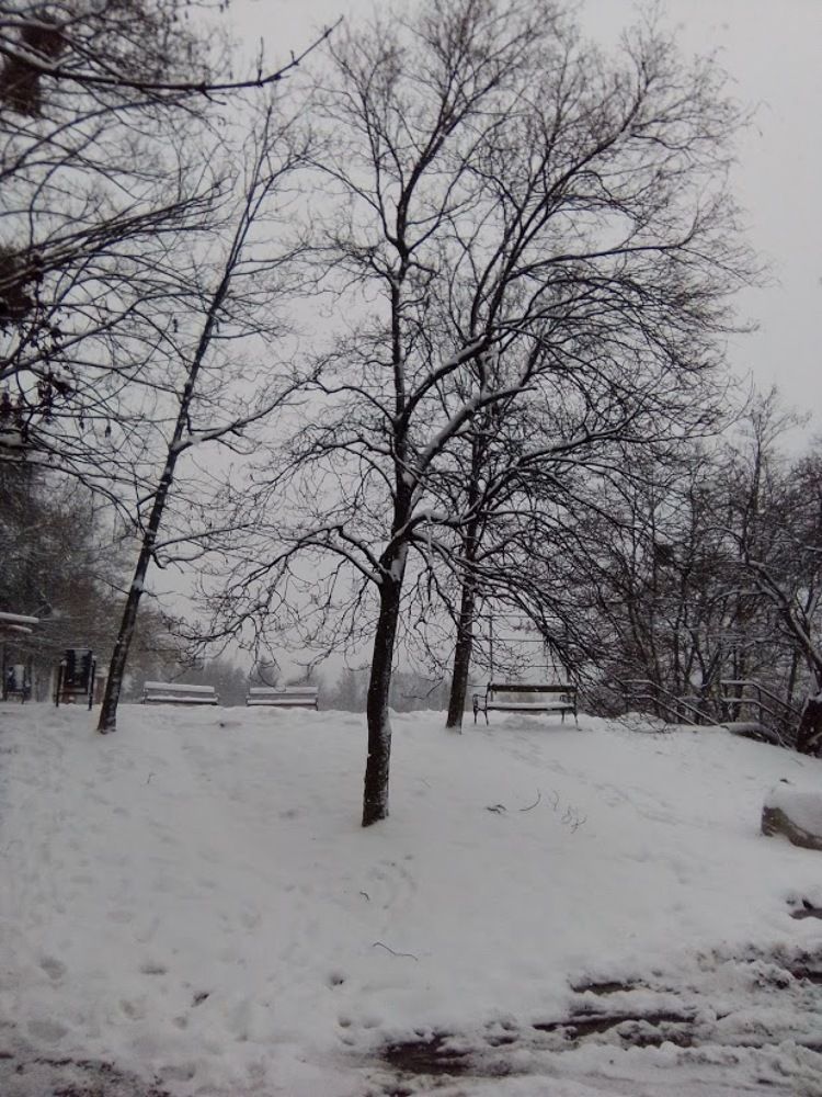 Photograph by Mátrai Melinda