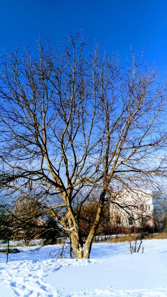 Photograph by Mátrai Melinda