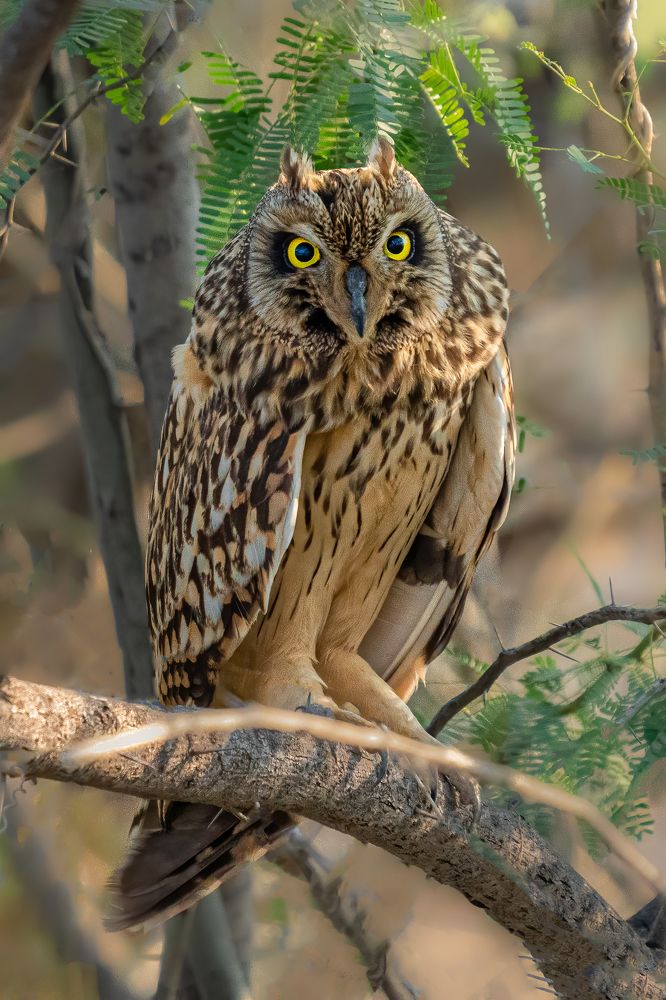 Photograph by Vipul Saxena