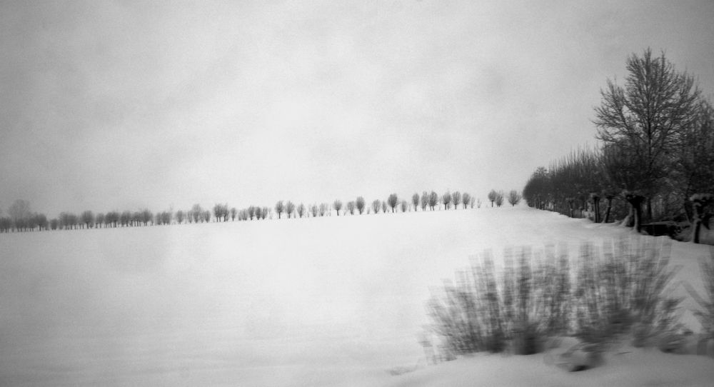 Photograph by Vincent Teriaca