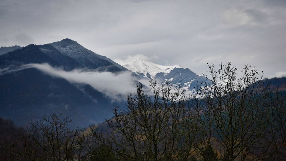Photograph by Manjri Saxena