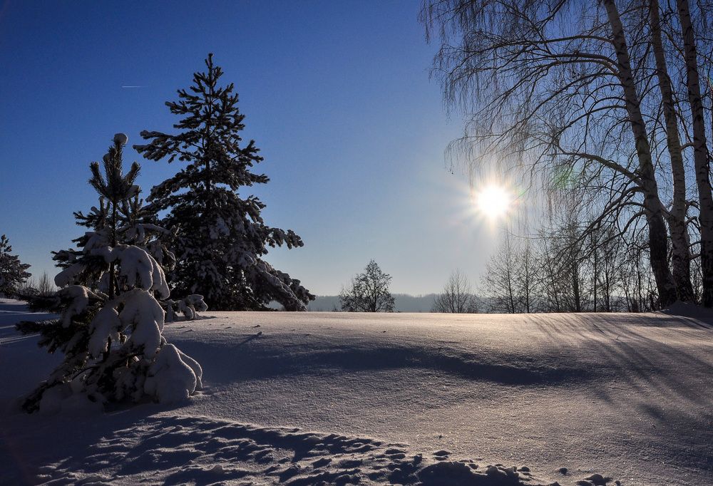 Photograph by Светлана