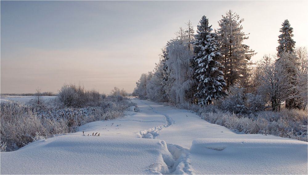 Photograph by Светлана