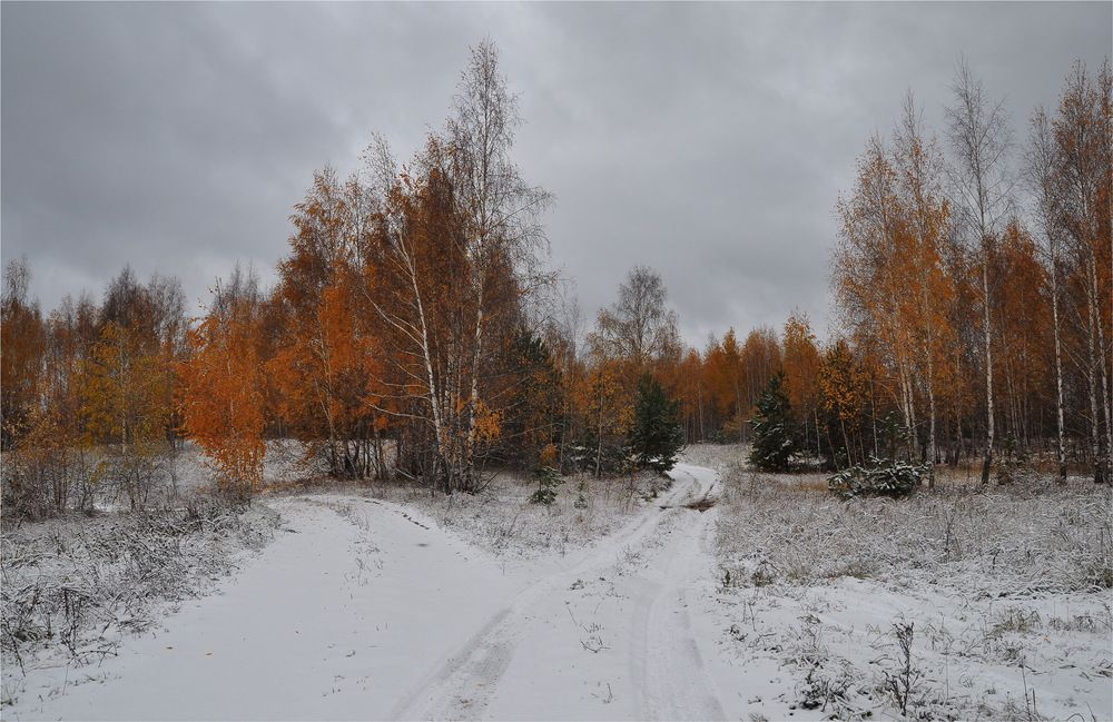 Photograph by Светлана