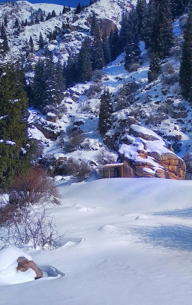 Photograph by Орынбек Асилбаев