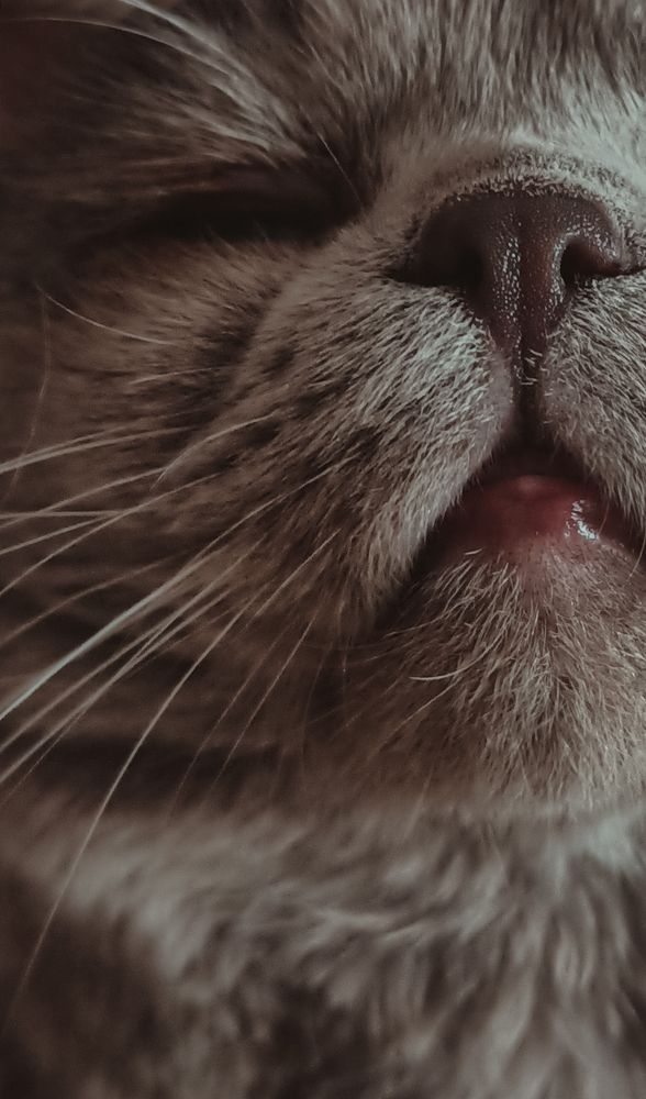 Photograph by Юлия Грачёва