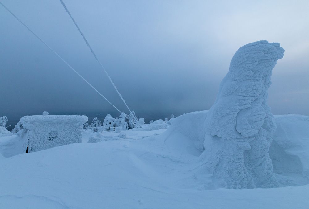 Фотография автора Филиппов Дмитрий