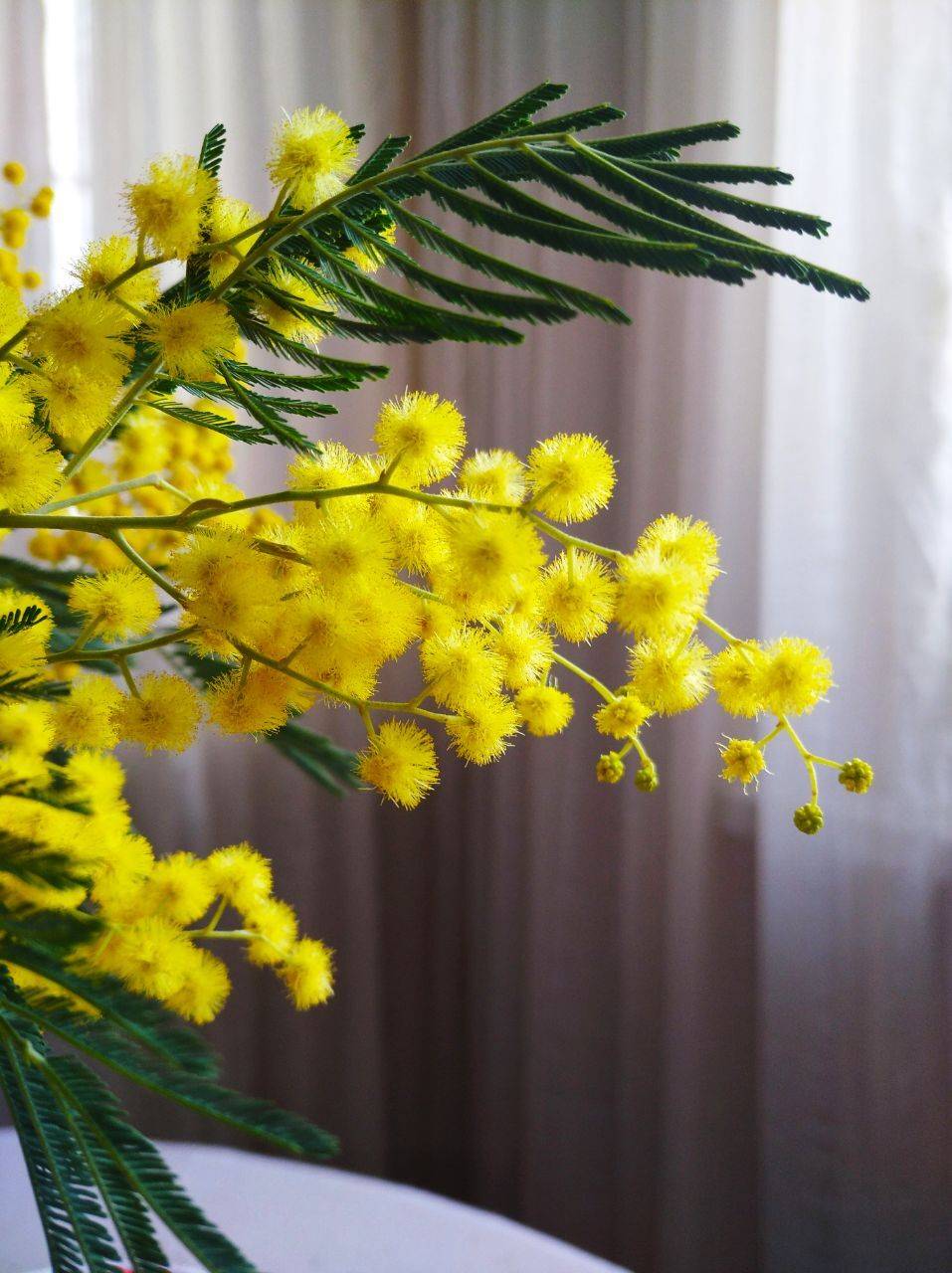 Photo #5938287