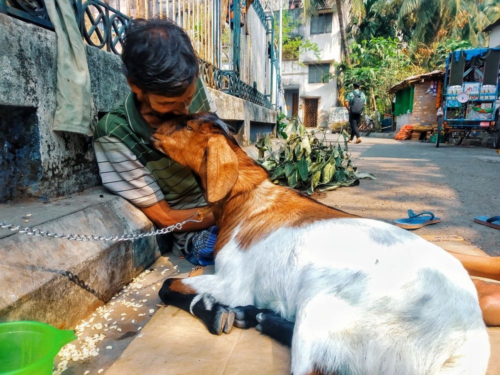 Photograph by Debanjan Dutta
