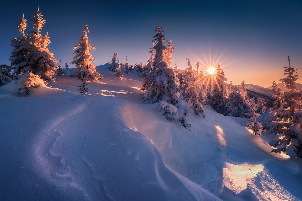 On the way to the light