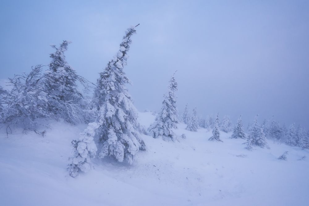 Photograph by Алексей Литвак