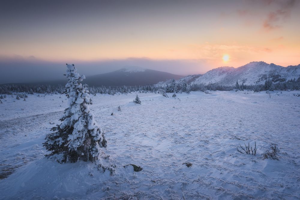 Photograph by Алексей Литвак