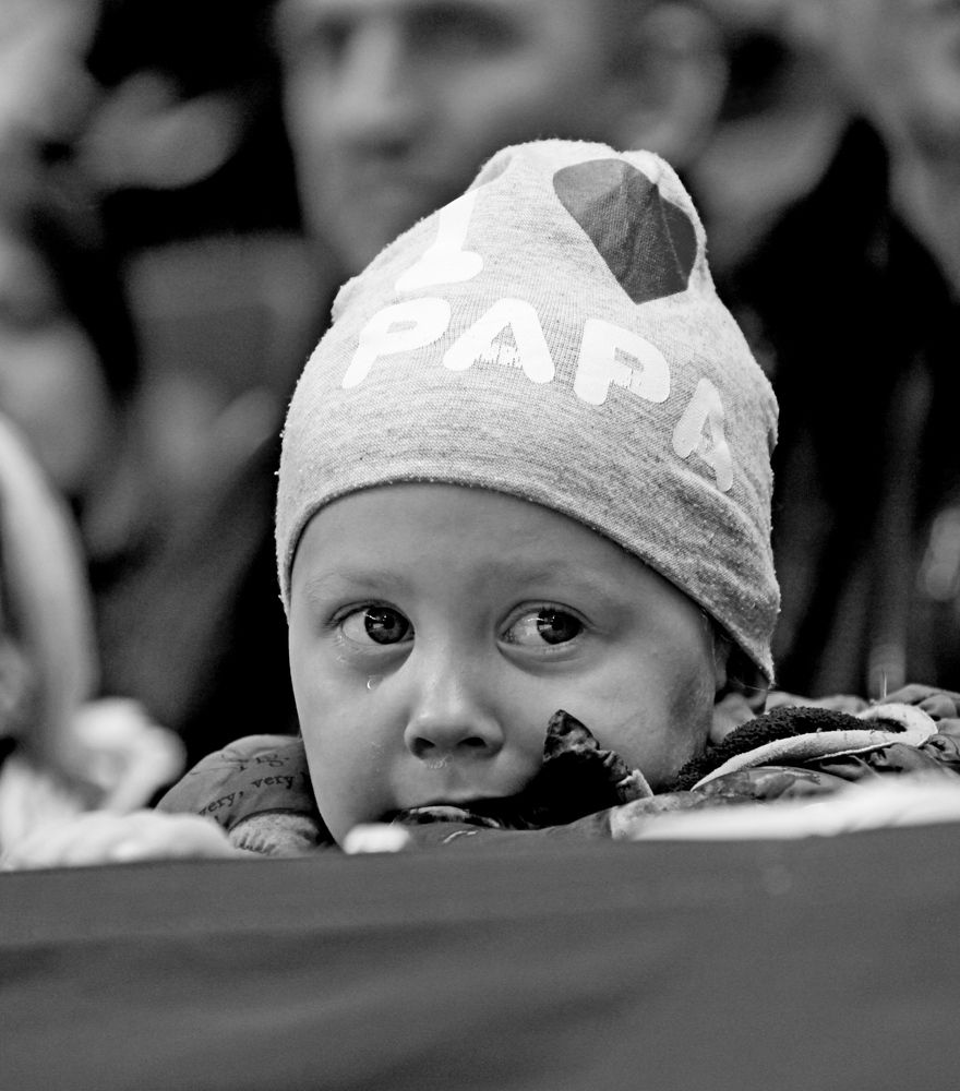 Фотография автора Сергей Барановский