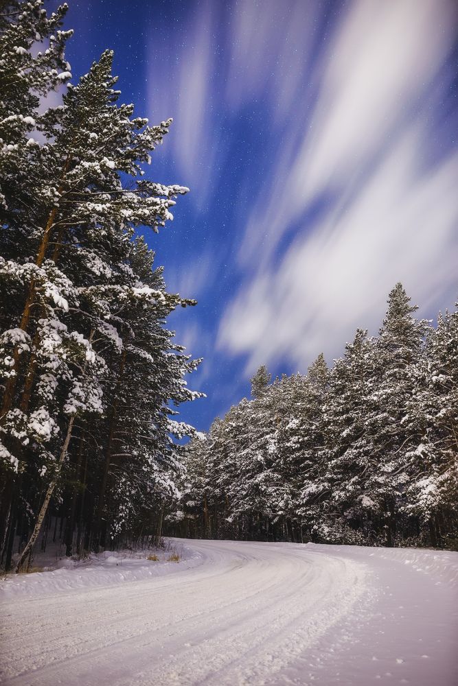 Photograph by Алексей Литвак