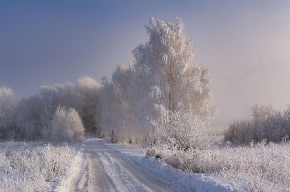 Зимнее утро